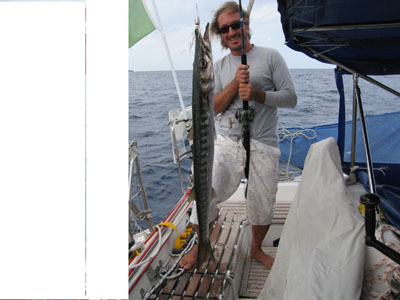 barracuda