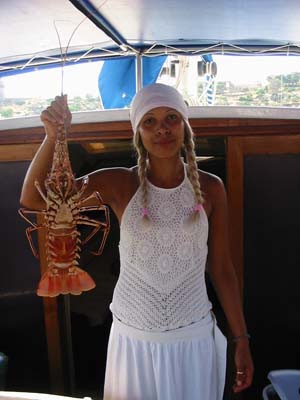 cuoca
