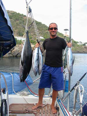 psecatraina